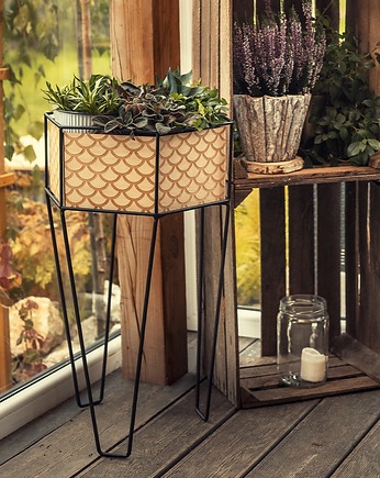 Amonit, BEDS FOR FLOWERS