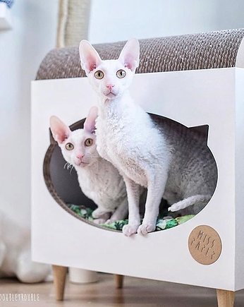 TVcat domek+ drapak dla kota, Misspaper