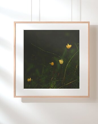 Fotografia autorska z cyklu "Zwyczajność", mamam