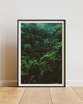 Plakat -Jungle, Harry Monkey