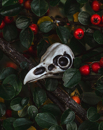 Wisior Czaszka Ptaka - Tyto Alba, Nest of Bones
