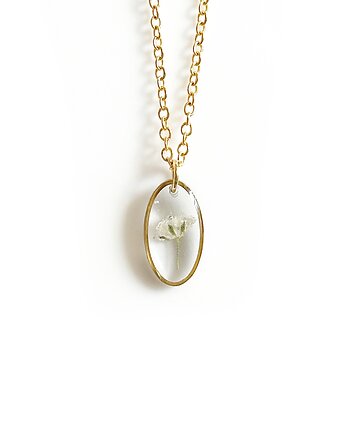 Naszyjnik z gipsówką, Colie