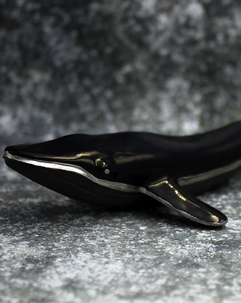 Wieloryb, MLY Studio