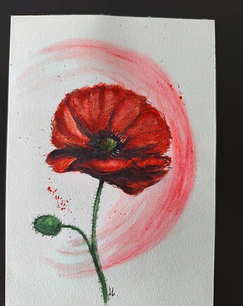 Mak z serii Kwiaty akwarela A5 obraz natura łąka kolekcja, kkjustpaint Karolina Kamińska