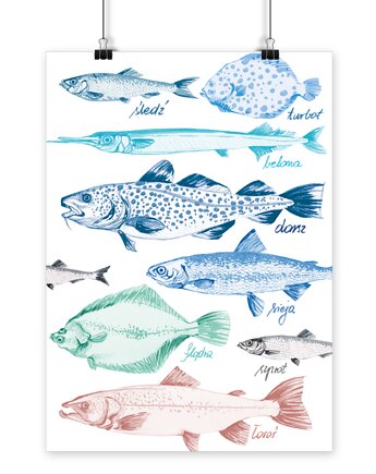 Plakat Ryby Bałtyckie, LOVE POLAND DESIGN