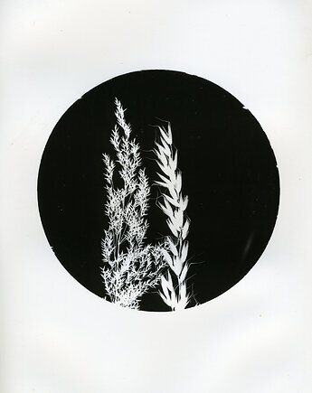 We Dwoje, PAPER AND LIGHT