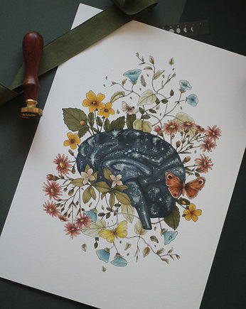 head - reprodukcja ilustracji, bajus