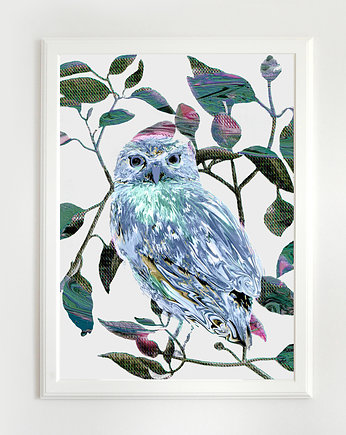 Plakat Owl  30x40 cm, Anita Tomala