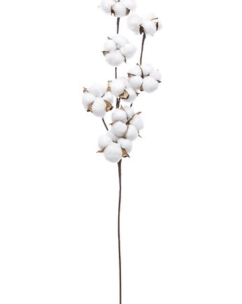 Gałązka z 8  kwiatami  bawełny ECO COTTON 60 cm, FlodiaAtelier