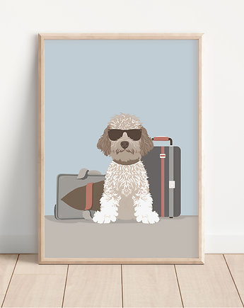 Plakat lagotto romagnolo, Whatever the timezone