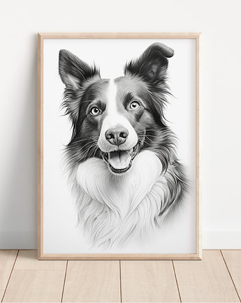 Plakat border collie, Whatever the timezone