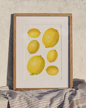 Plakat- Cytryny, HERBAROOM