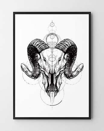 Plakat Mroczna Czaszka, HOG STUDIO