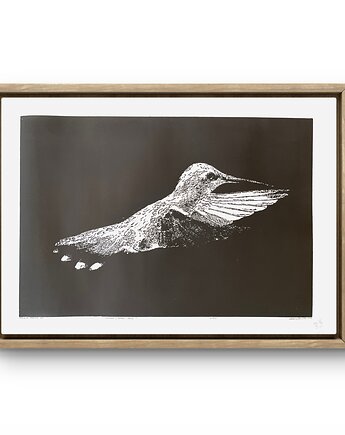 Linoryt "Koliber" - odbitka 40/60 cm, papier 50/70 cm, Scrap Glass Art Studio