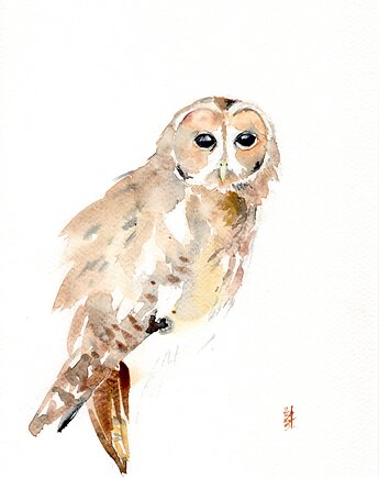 Oryginalna akwarela. Sowa, alquadro