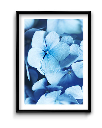 Plakat Blue Flower No.2, Bury Lis