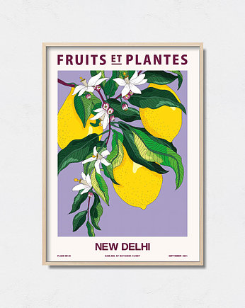 Plakat botaniczny "New Delhi", Pas De LArt