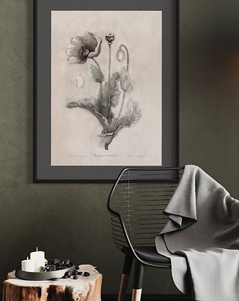 Mak print 50x70 cm, Margo Hupert