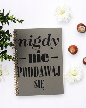 Nigdy nie poddawaj się, notatnik, Sowia Aleja