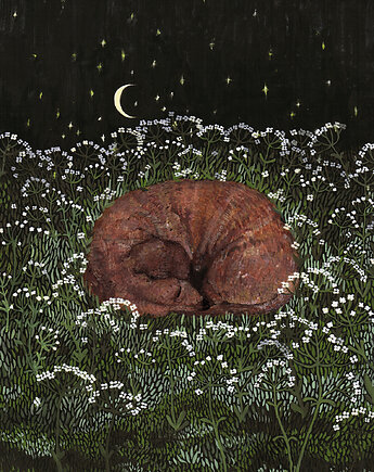 Jamnik- Śpiący Jamniczek- grafika- ilustracja- pies, BOSKE