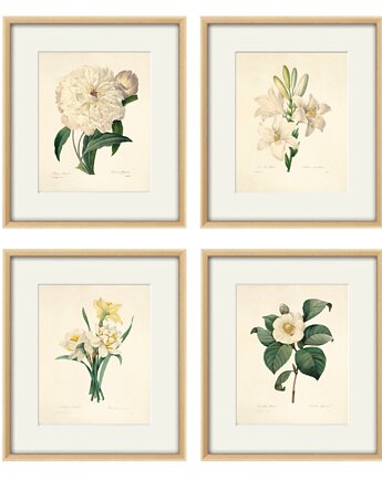Kwiaty Ilustracja Druk Botaniczny prezent stara Grafika Rysunek