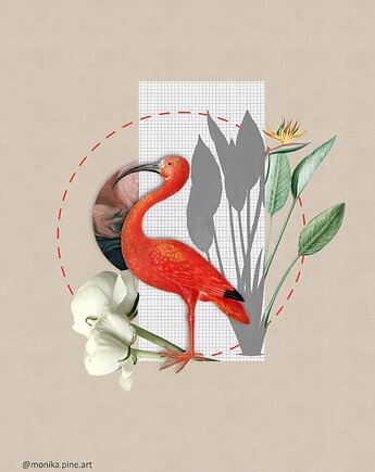 Plakat A3 - Ibis w geometrii, pine art