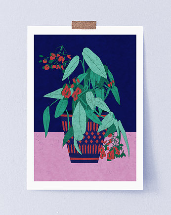 Begonia flowers art giclee print A3 plakat, ZANETA ANTOSIK PRINTS