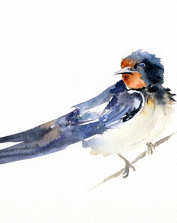 Oryginalna akwarela. Jaskółka, alquadro