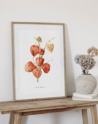 Plakat- Miechunka, HERBAROOM