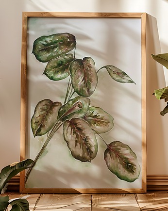 Maranta akwarela botaniczna ręcznie malowana 100x70, Leaflay