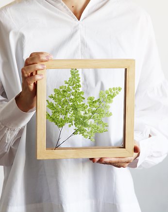 Żywy obraz Lutti Fern, Plantsonwall