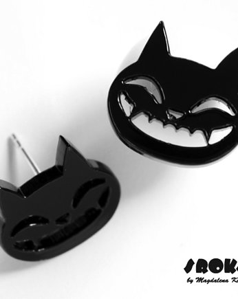 kot, Cat, Katze, 猫, gato na ucho 1, Magdalena Kopec