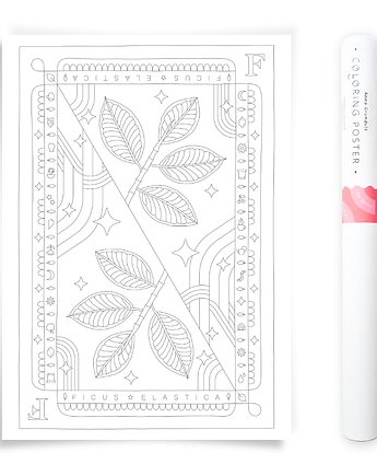 Plakat do Kolorowania Roślina Doniczkowa Fikus Sprężysty 50x70cm, Anna Grunduls Design