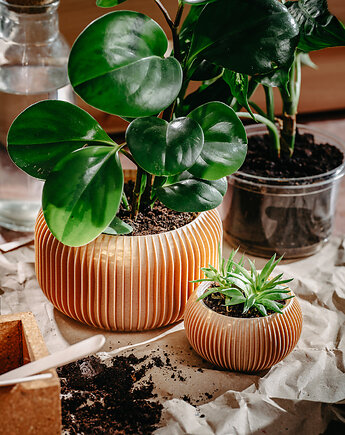 Średnia doniczka 71P03.500.OAK / eko / zero waste / minimalizm, 71rzeczy