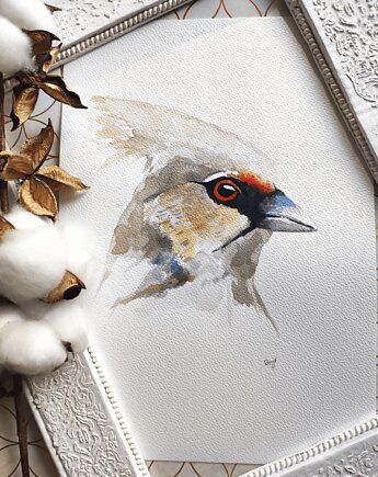 Akwarela jemiołuszka, Wiktoria Borys Art