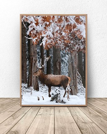Plakat z jeleniem pośród drzew 50x70 (500mm x 700 mm), scandiposter