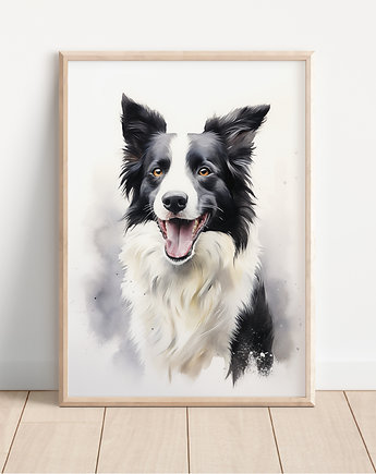 Plakat border collie, Whatever the timezone