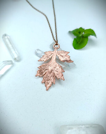 Bylica pospolita- ochrona, Cuprum Pracownia Miedzi