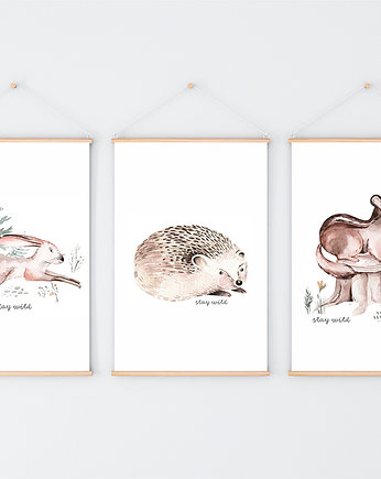 Plakat. Leśne przygody, sowa, Love Life and Forest