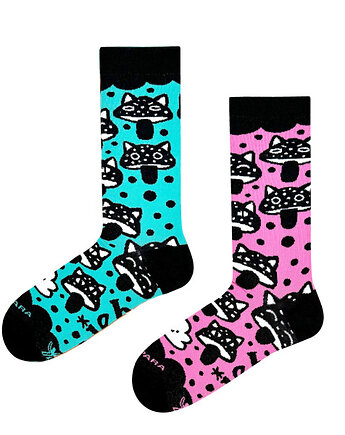 Studio NIEBO x Takapara - Grzybokoty, Takapara