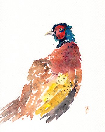 Oryginalna akwarela. Bażant, alquadro