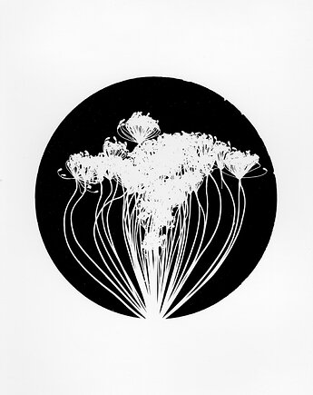 Koper_0_, PAPER AND LIGHT