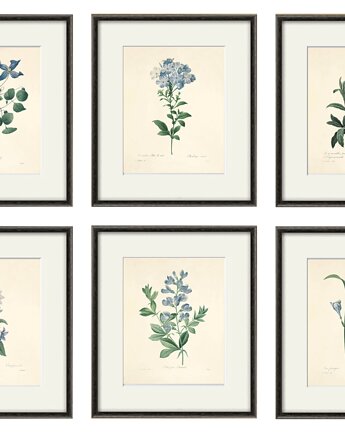 Kwiaty Ilustracja Druk Botaniczny prezent stara Grafika Rysunek, Victorian wall art