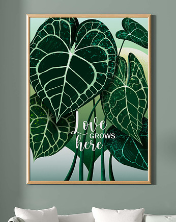 Plakat Love grows here / Anthurium Clarinervium, Variegata Design