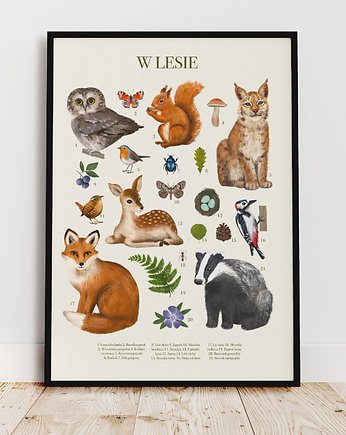 Plakat "W LESIE" 40x50 cm, Studio Stonka