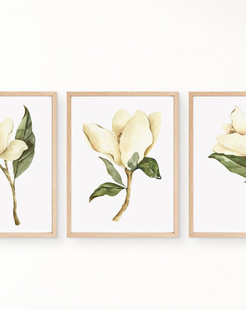 ZESTAW PLAKATÓW botaniczne kwiaty magnolii, black dot studio