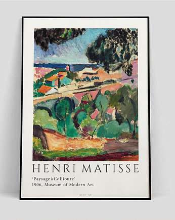 Henri Matisse  - Exhibition Poster, Pas De LArt