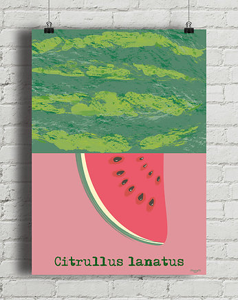 Arbuz - plakat fine art 50x70 cm, minimalmill