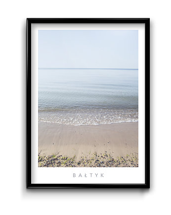 Plakat Bałtyk No.5, Bury Lis