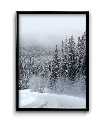 Plakat Zimowa Droga, Bury Lis